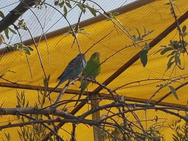 בית הארחה Pozo Alcón 	Complejo Rural Ibipozo בית כפרי